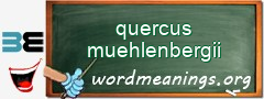 WordMeaning blackboard for quercus muehlenbergii